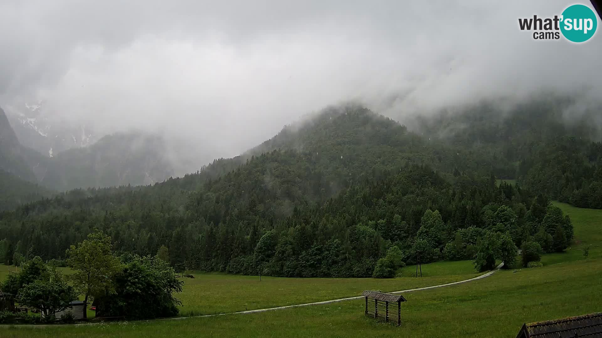 Gozd Martuljek –  planinski lanac Špik
