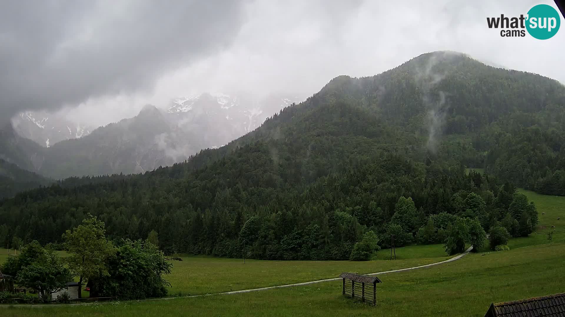 Gozd Martuljek – Špik Mountain Group