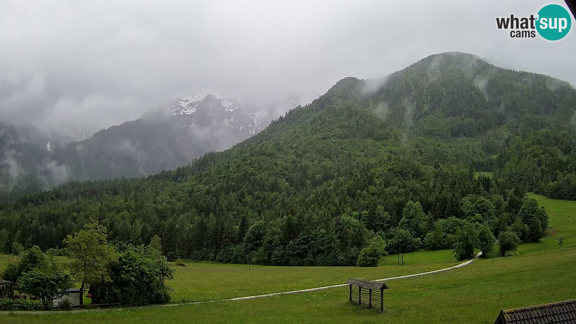 Gozd Martuljek – Špikova skupina