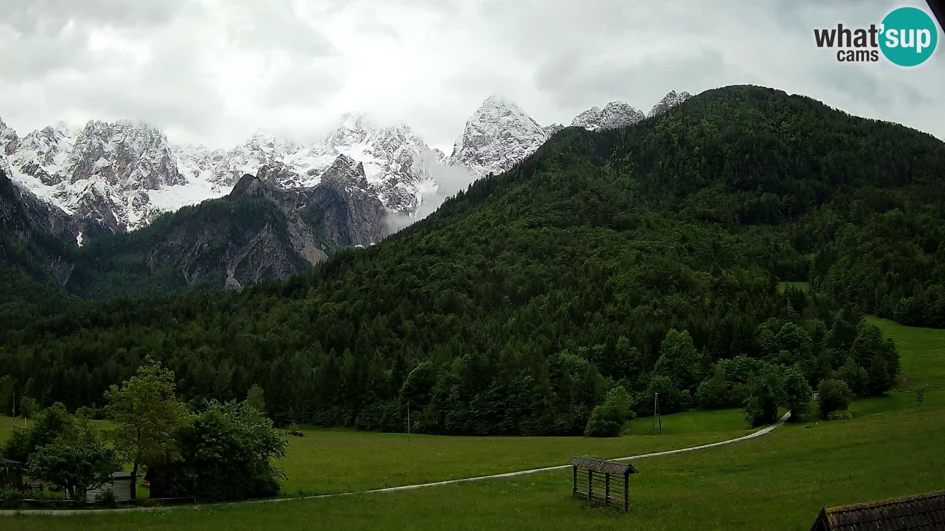 Gozd Martuljek – Špik Mountain Group