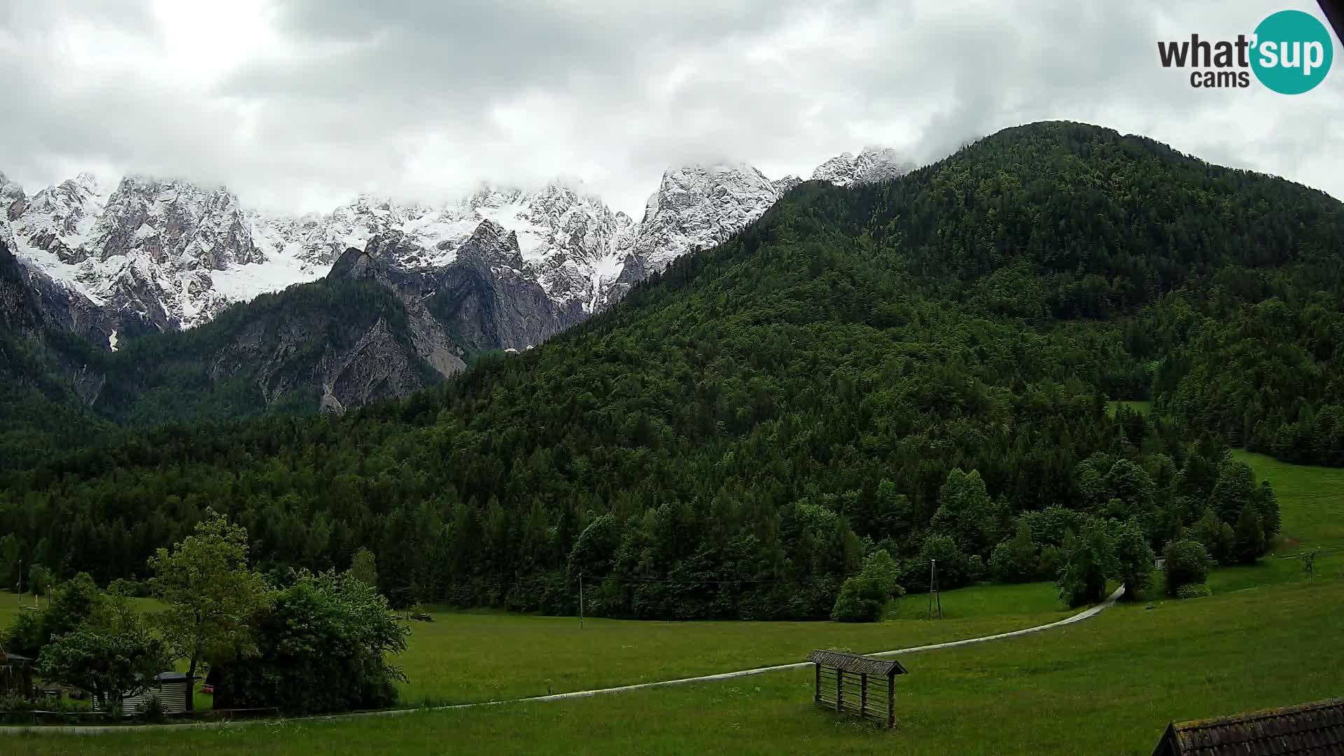 Gozd Martuljek –  planinski lanac Špik
