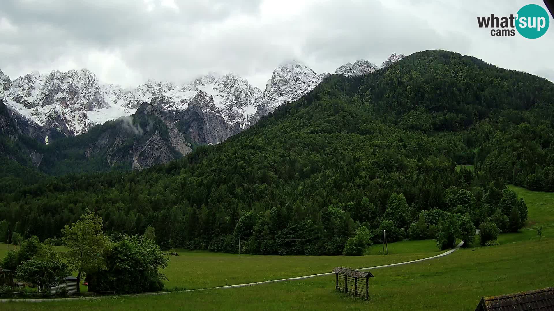 Gozd Martuljek – Špikova skupina