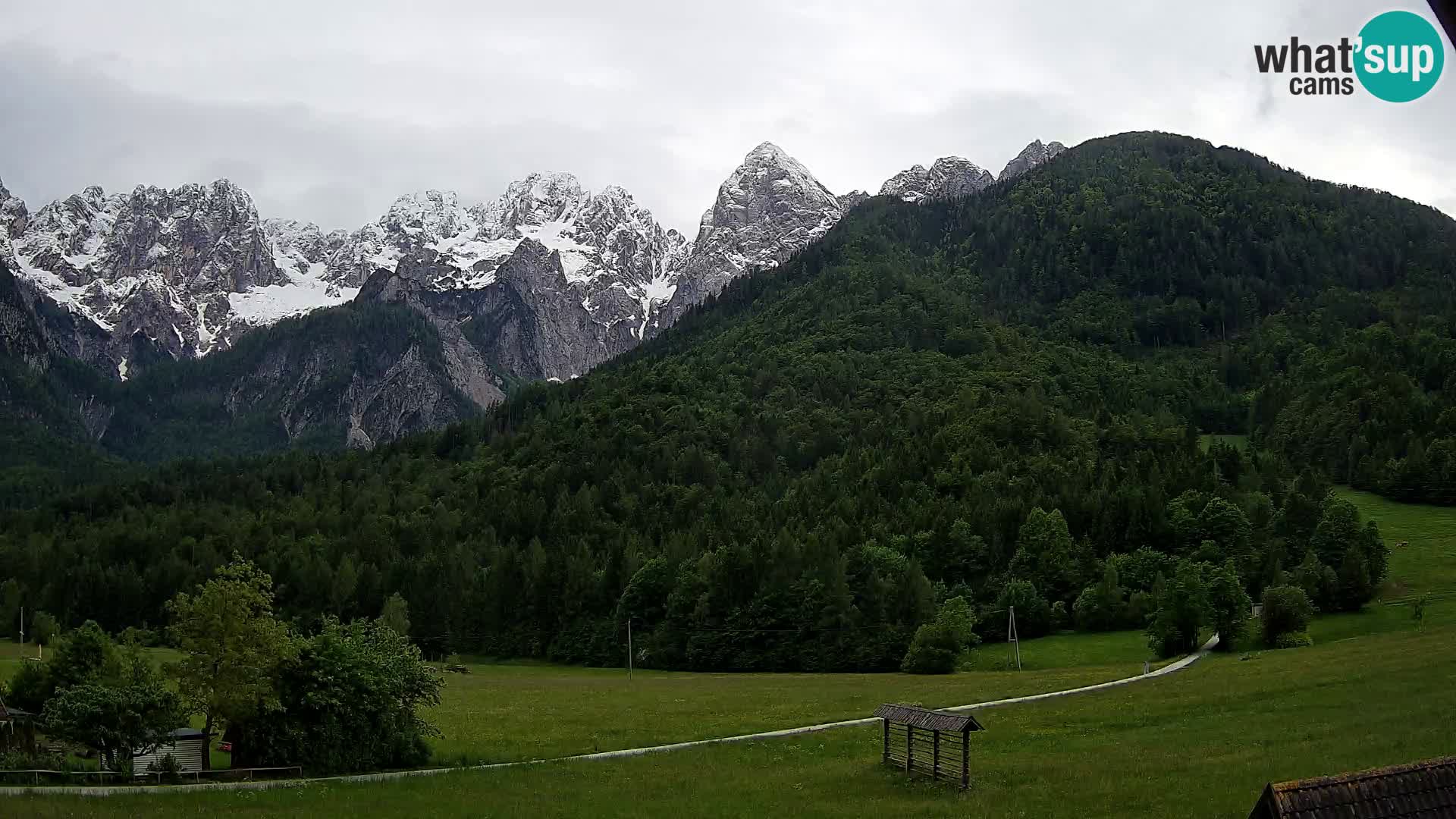 Gozd Martuljek – Špik Mountain Group
