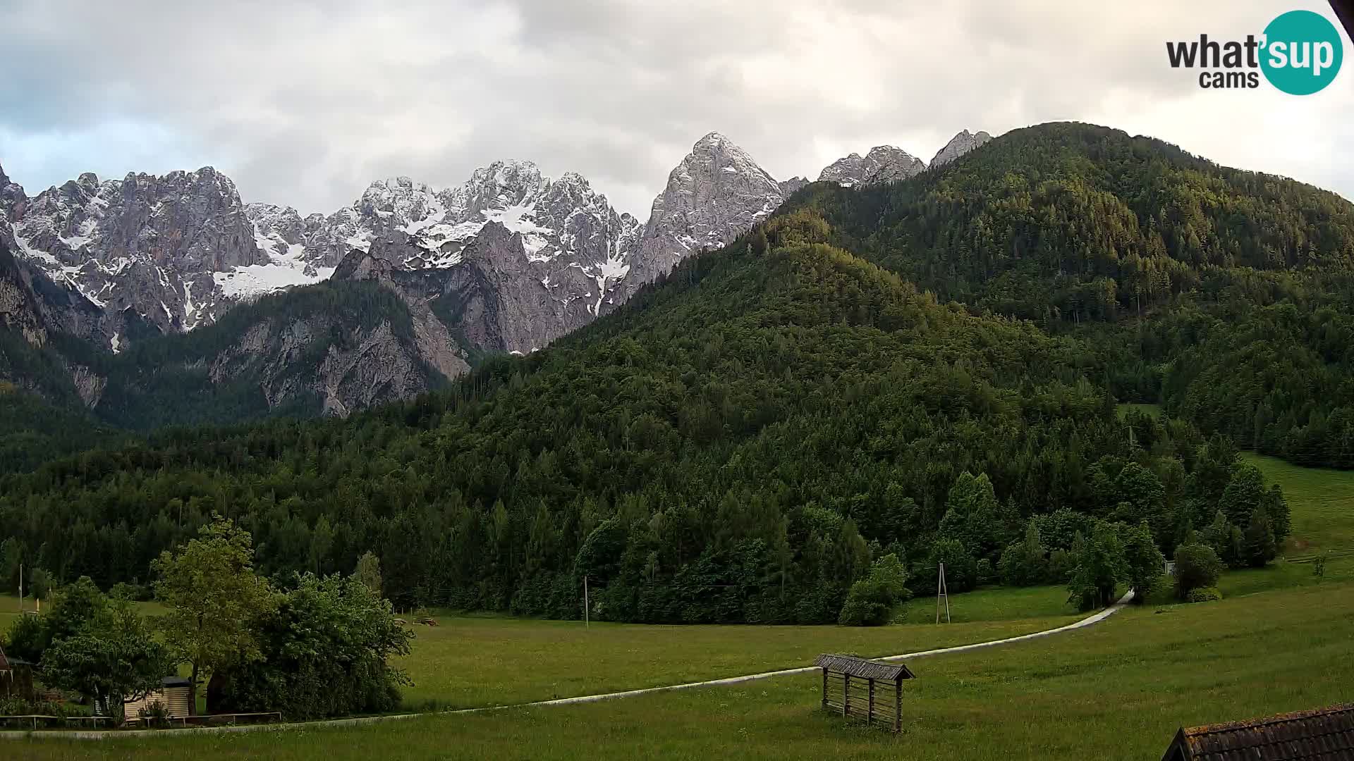 Gozd Martuljek – Špik Mountain Group
