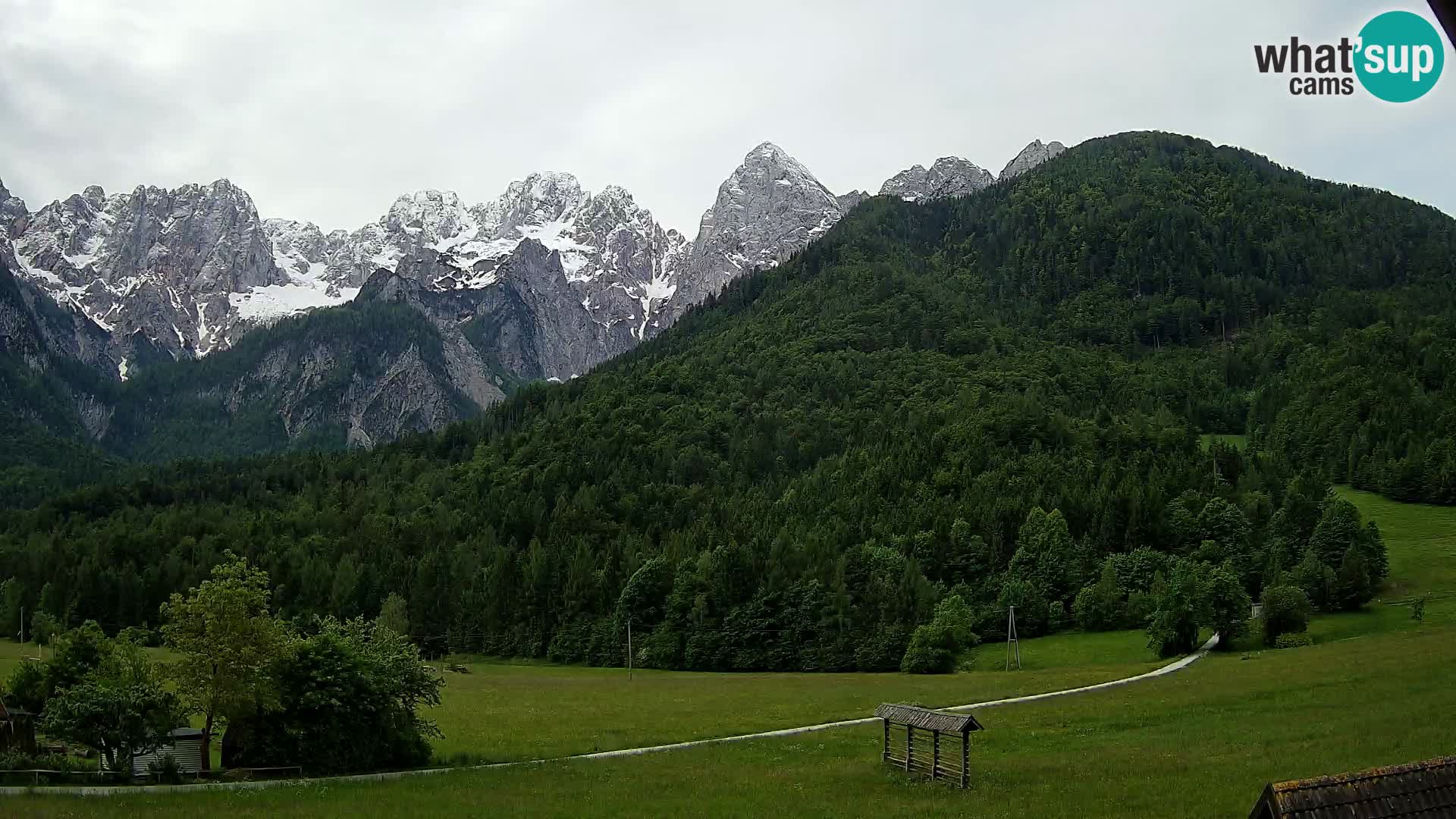 Gozd Martuljek – Špik Mountain Group