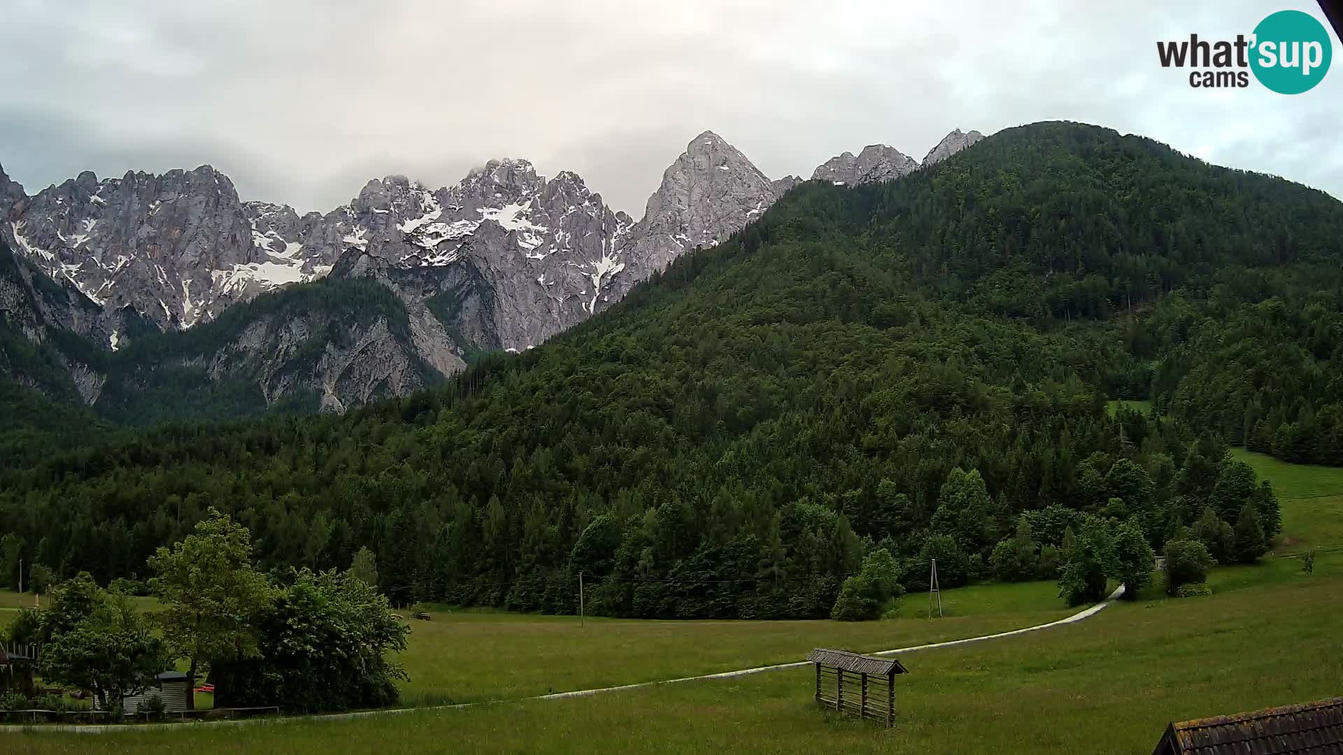 Gozd Martuljek – Špik Mountain Group