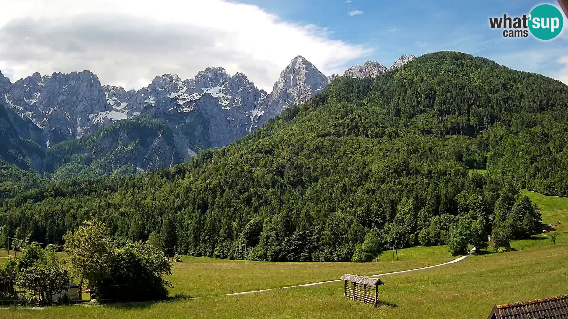 Gozd Martuljek – Špik Mountain Group