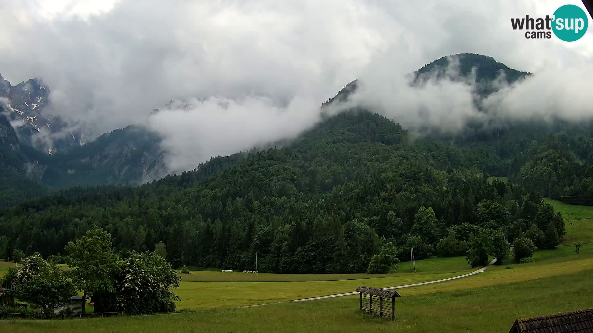 Gozd Martuljek – Špik Mountain Group