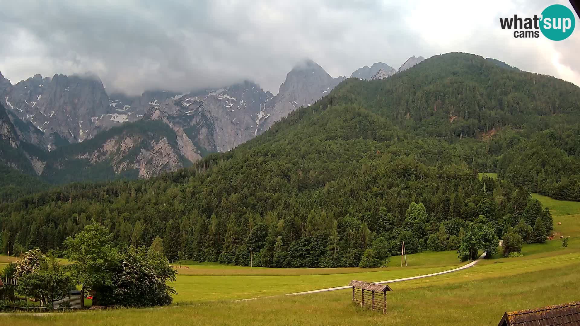 Gozd Martuljek – Špik Mountain Group