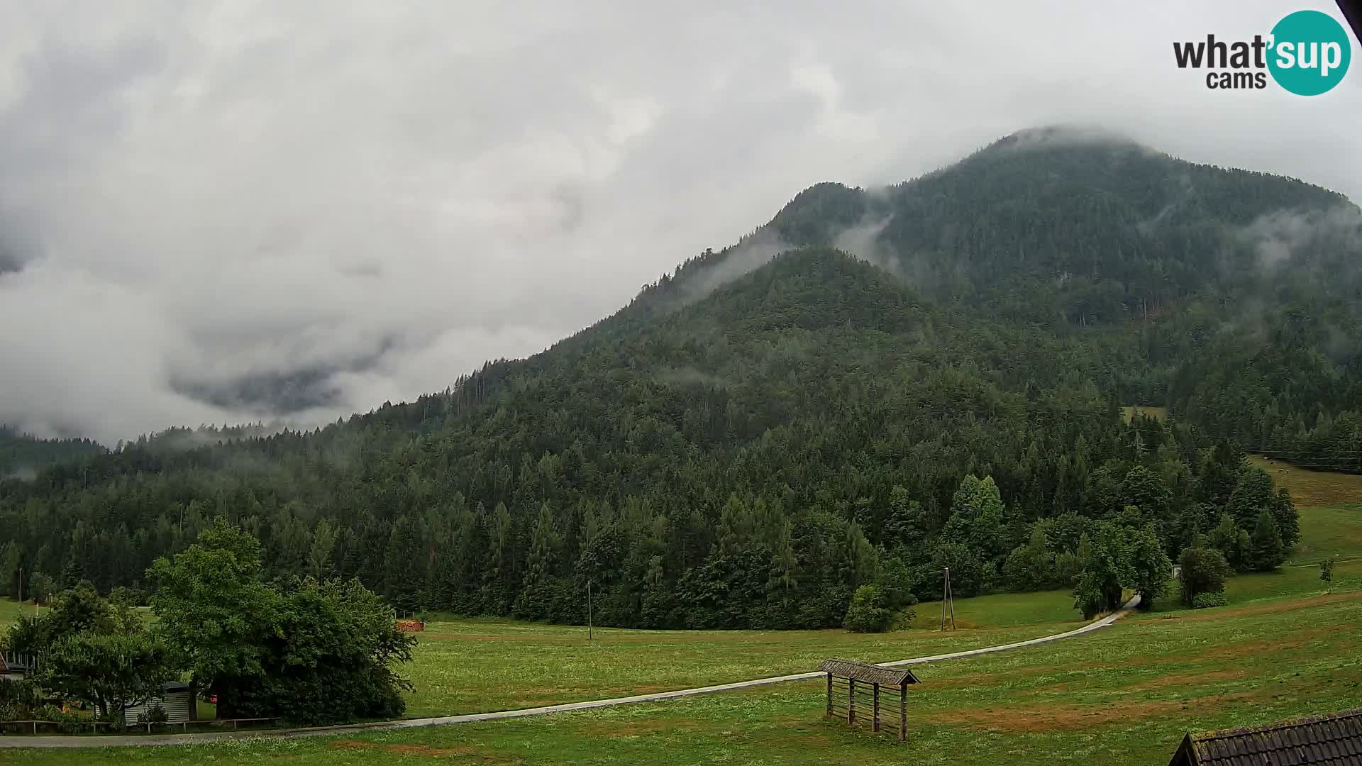 Gozd Martuljek – Špik Mountain Group