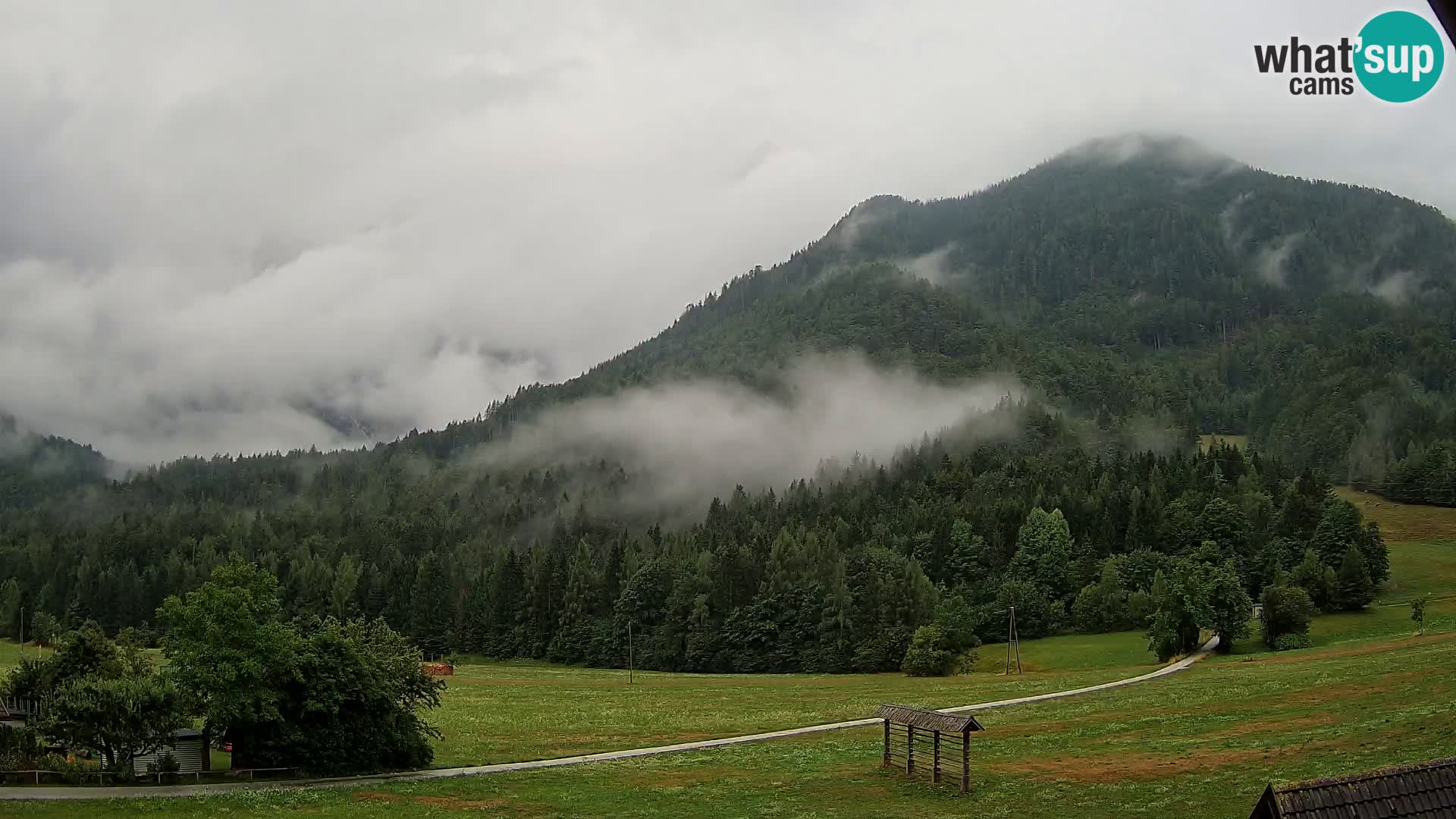 Gozd Martuljek – Špikova skupina