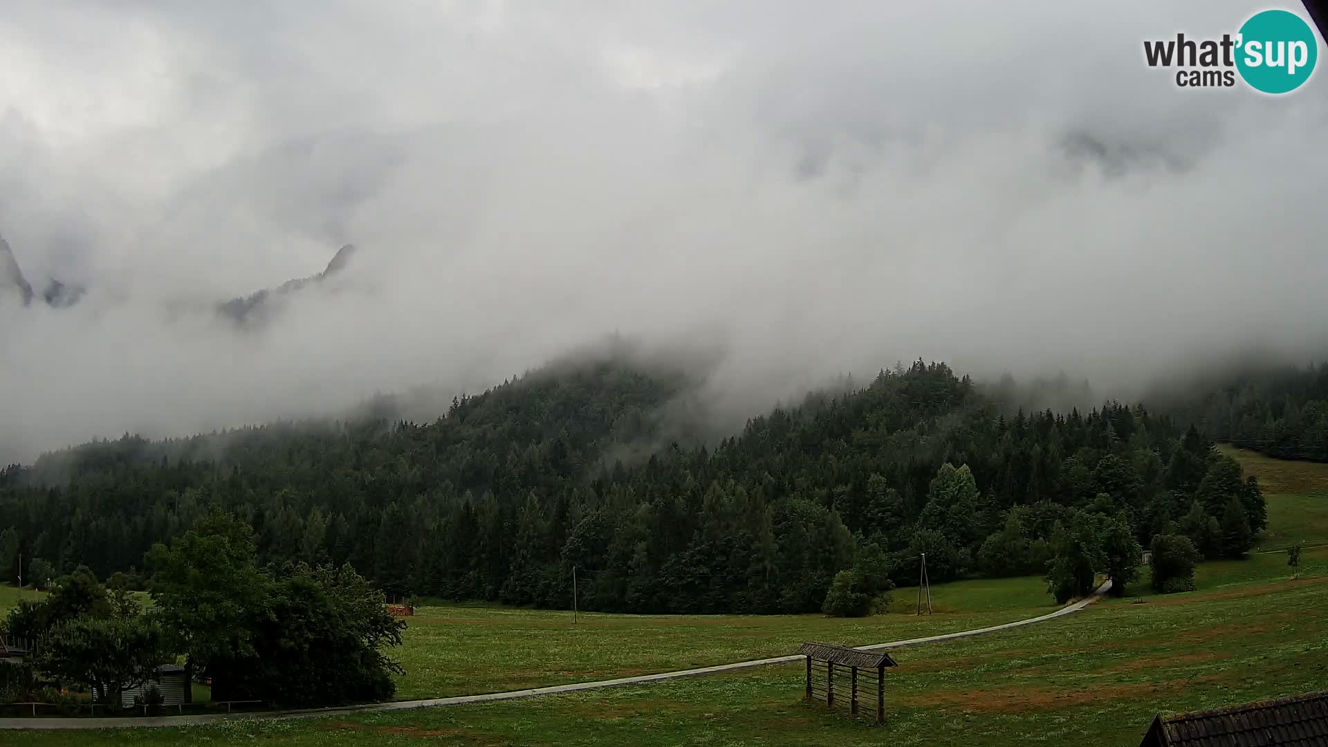 Gozd Martuljek – Špikova skupina