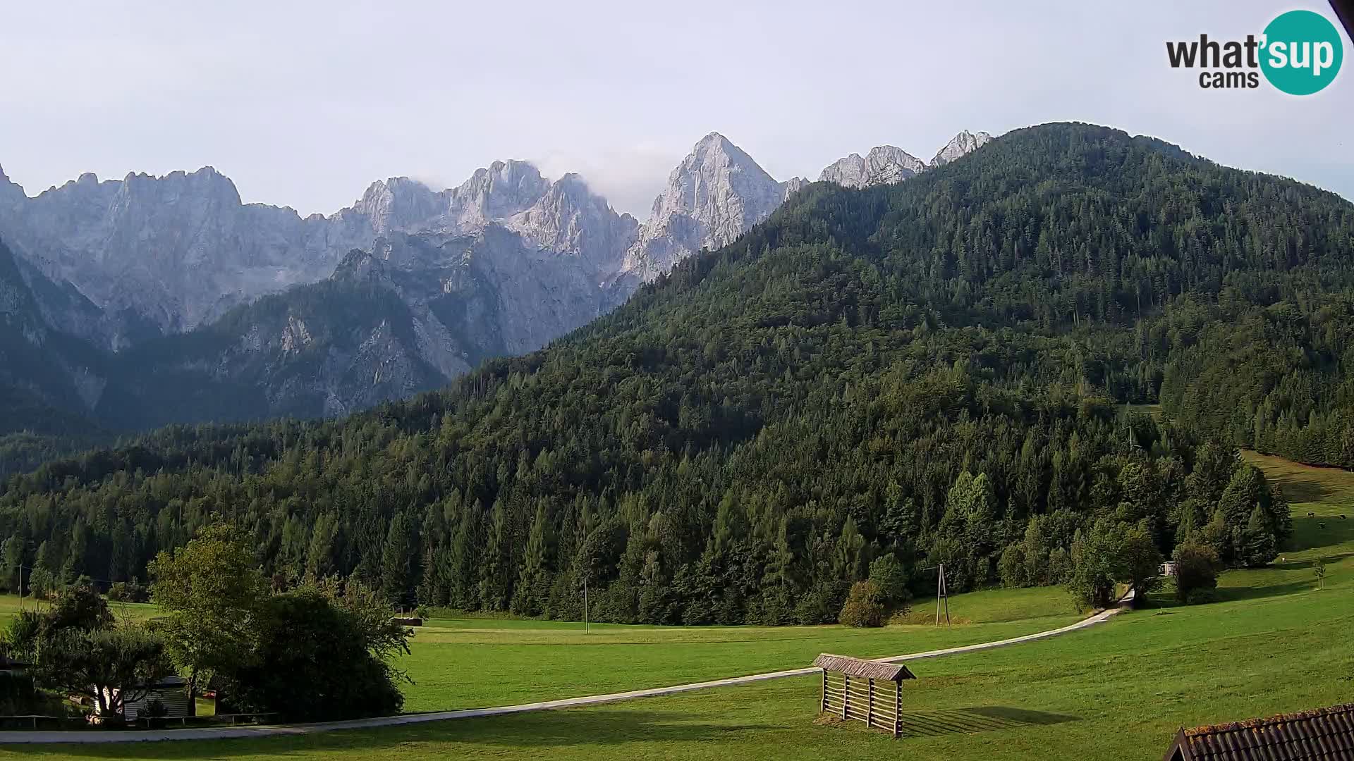 Gozd Martuljek – Špikova skupina