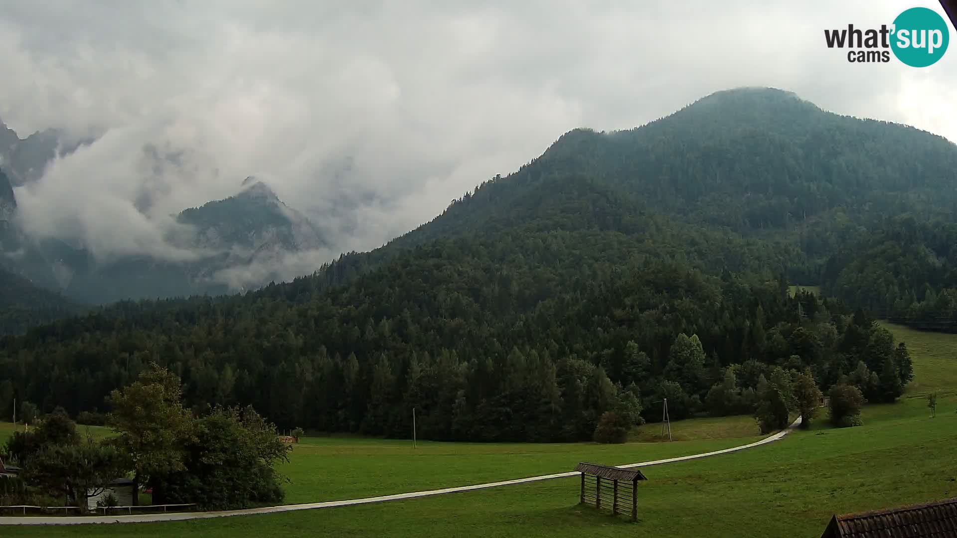 Gozd Martuljek – Špik Mountain Group