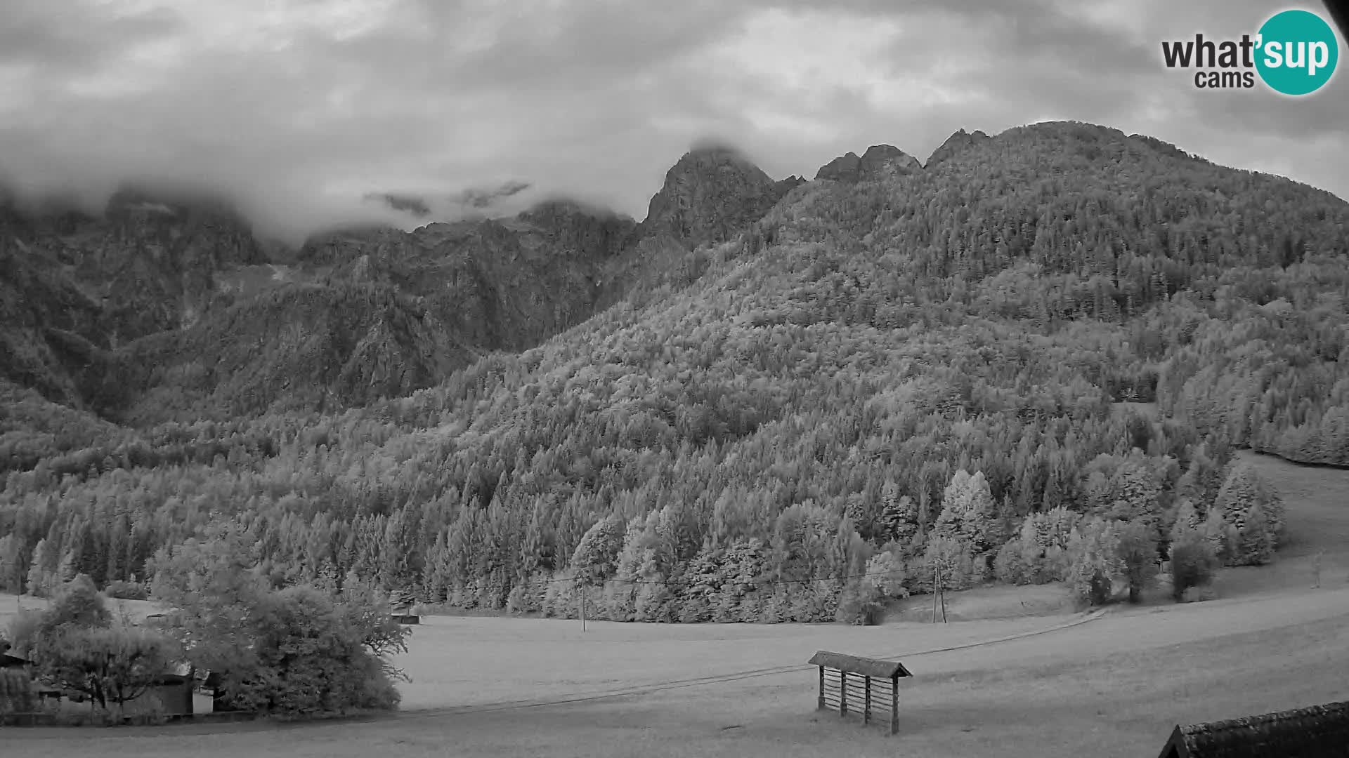 Gozd Martuljek – Špik Mountain Group
