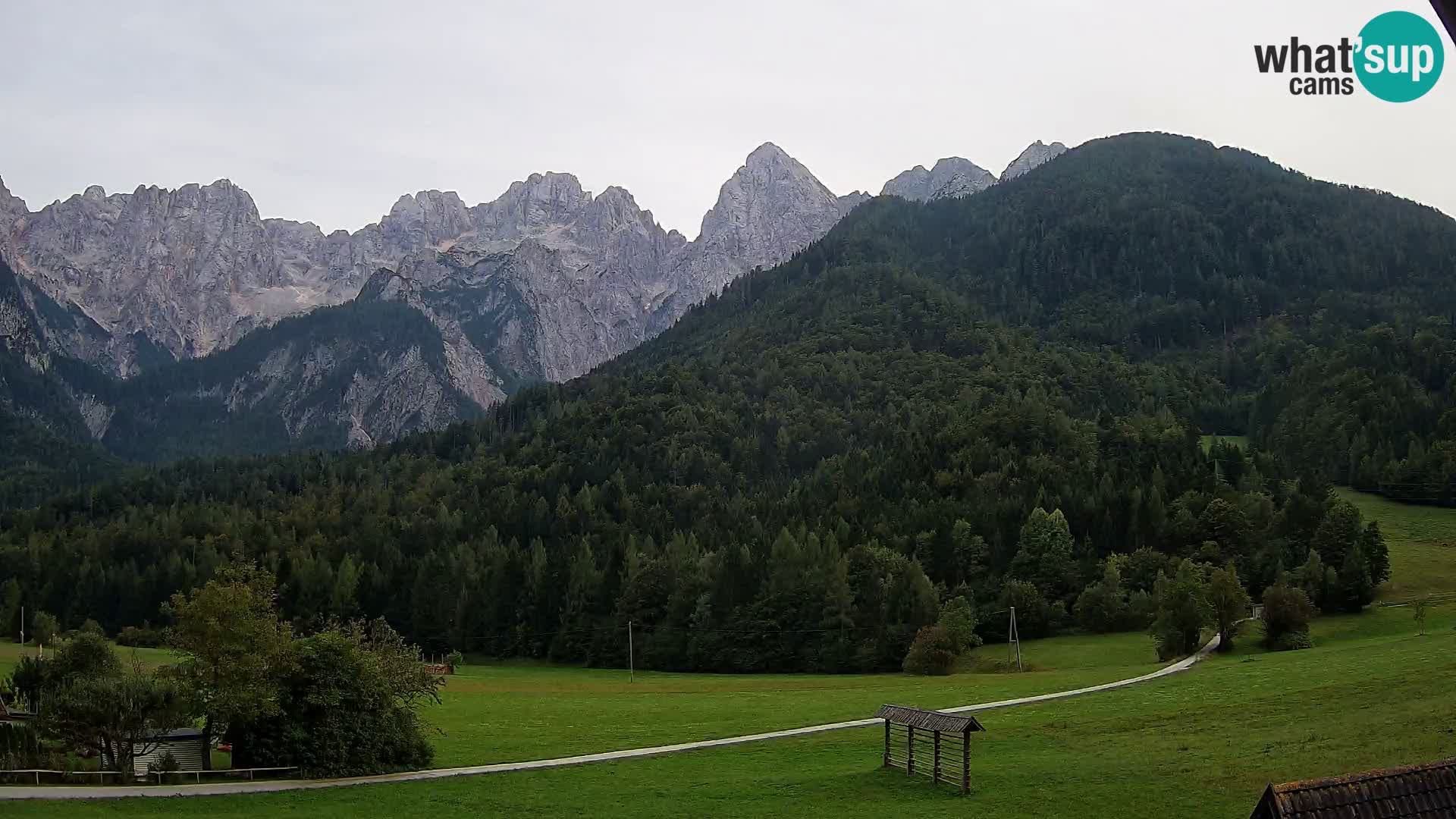 Gozd Martuljek – Špik Mountain Group