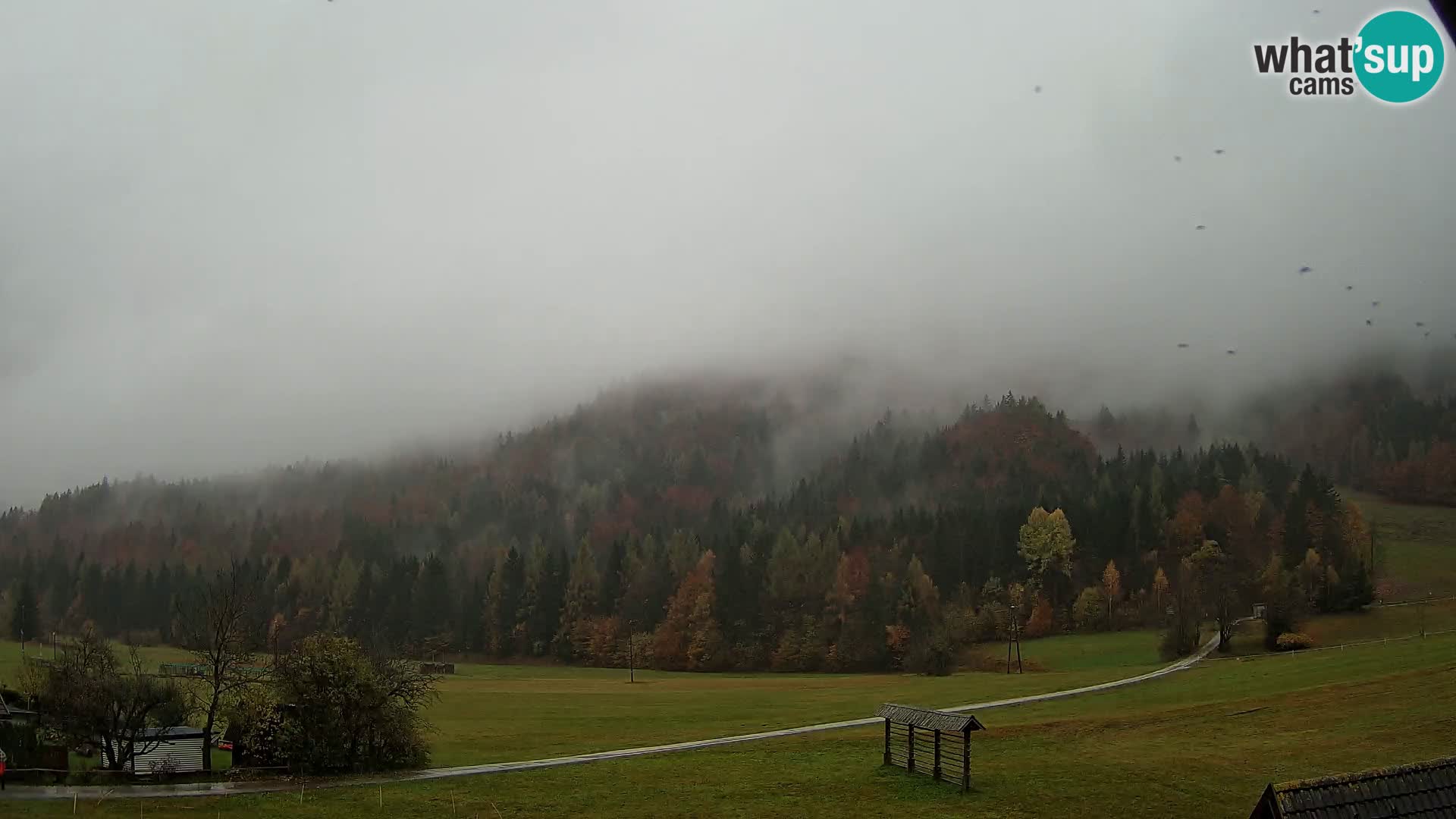 Gozd Martuljek – Špik Mountain Group
