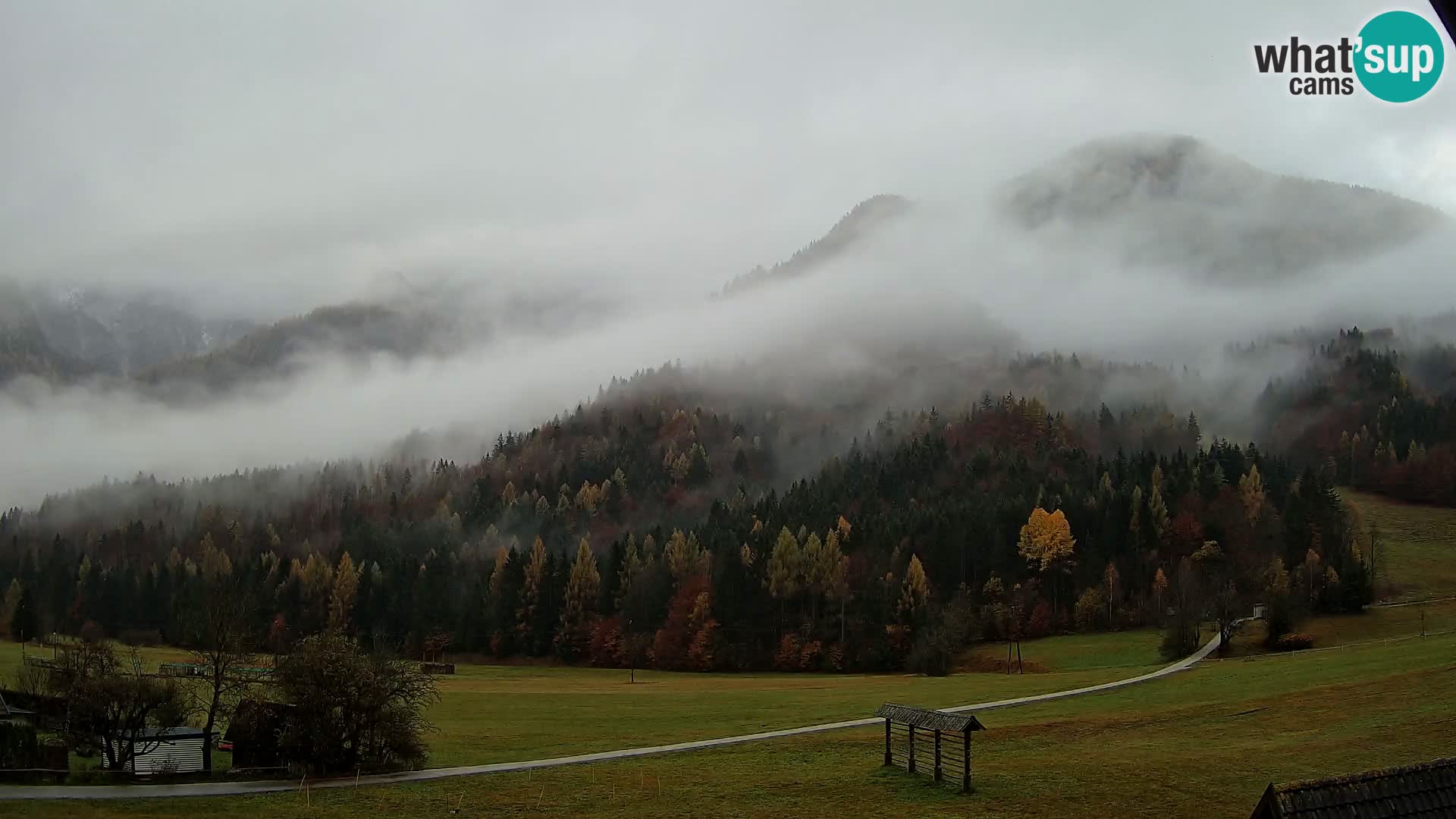 Gozd Martuljek – Špikova skupina