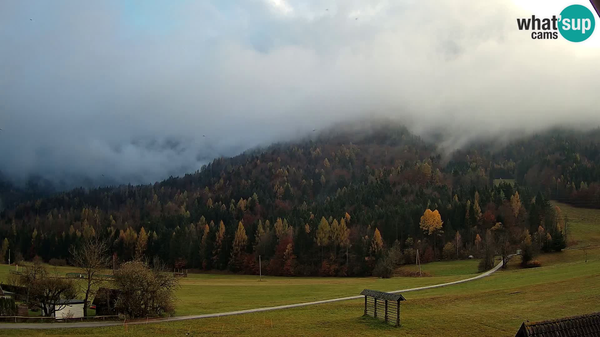 Gozd Martuljek – Špikova skupina