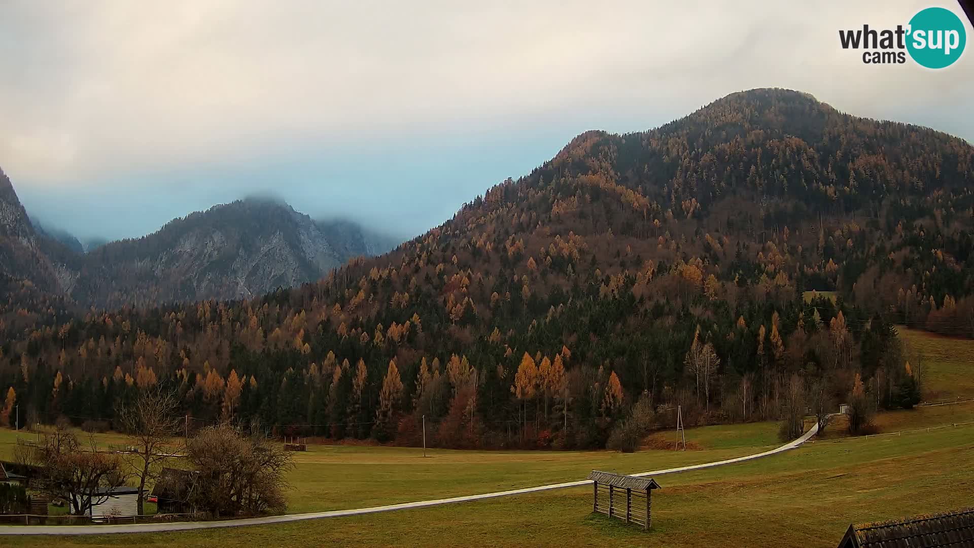 Gozd Martuljek – Špik Mountain Group