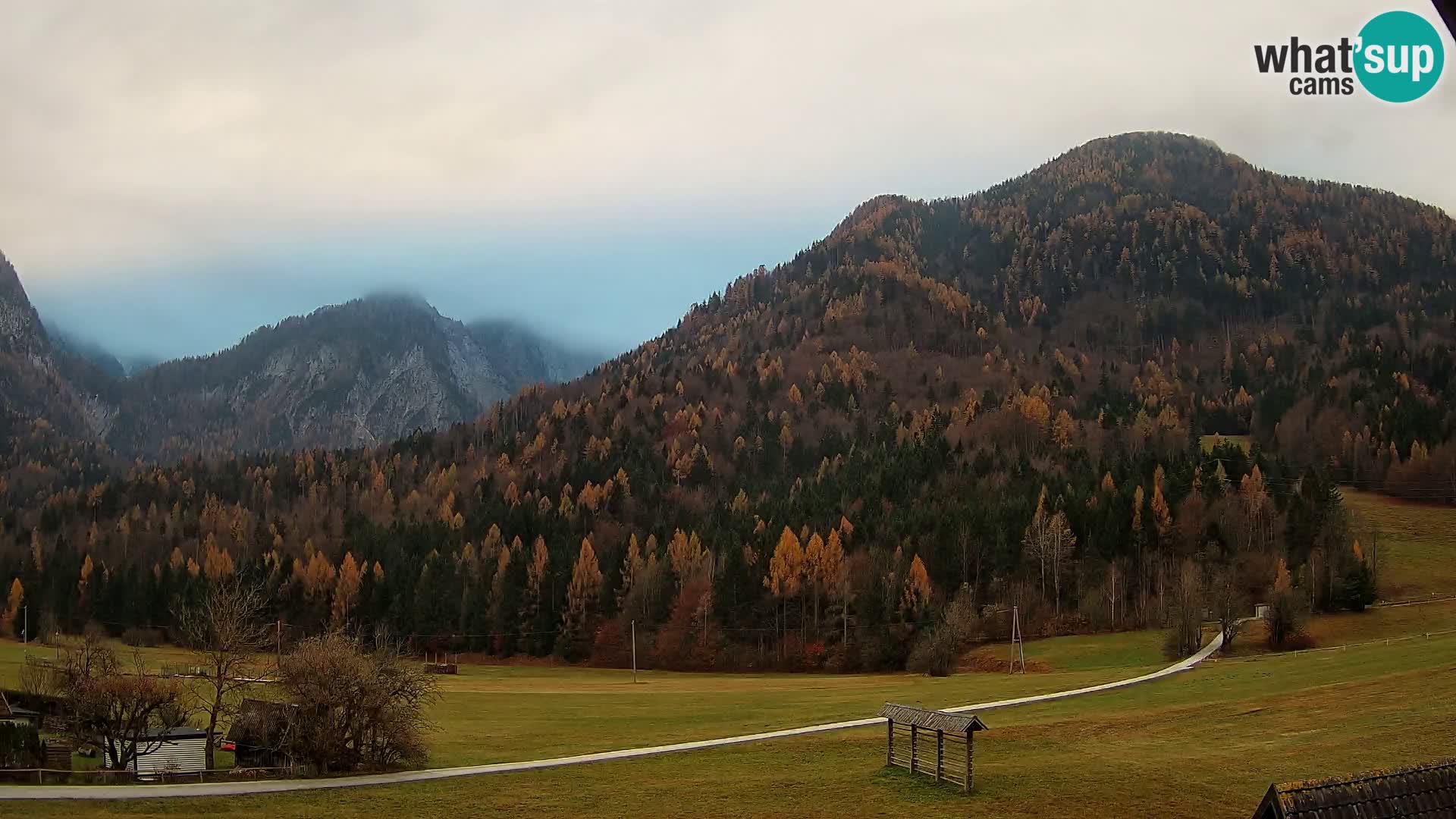 Gozd Martuljek – Špikova skupina