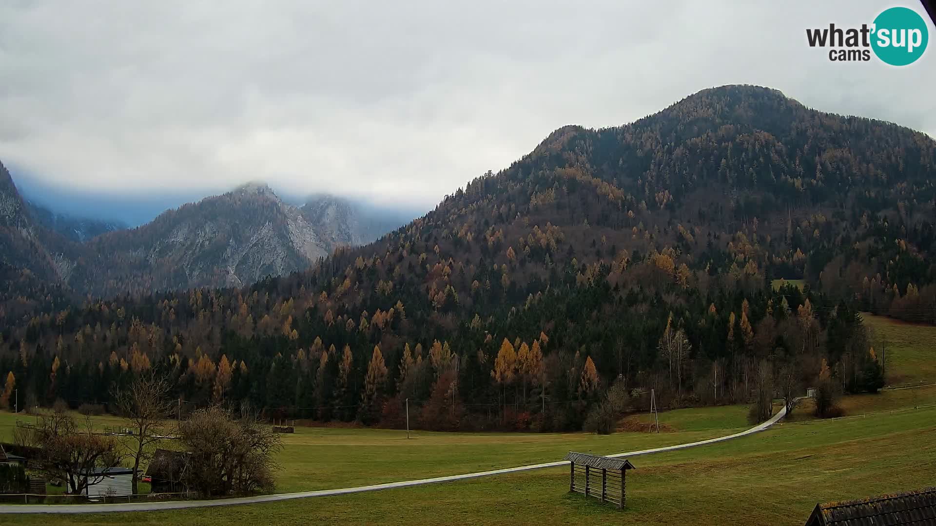 Gozd Martuljek – Špikova skupina