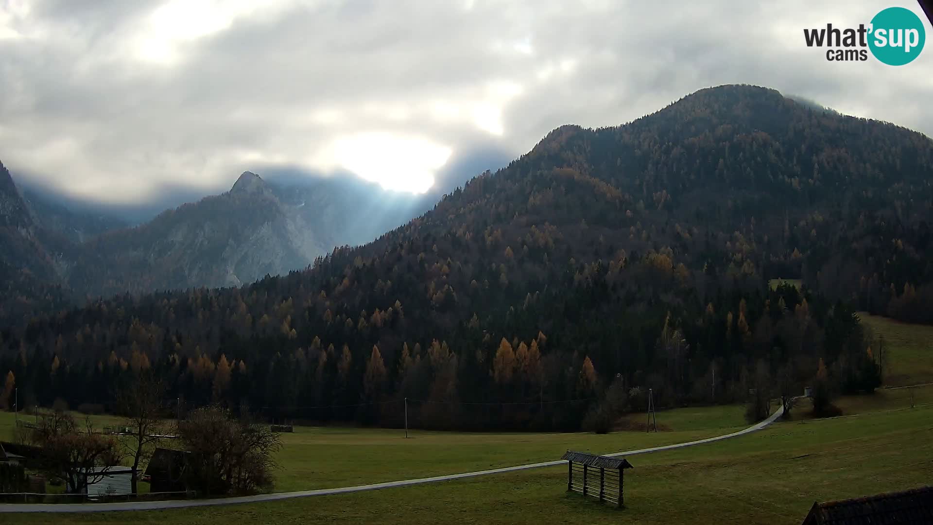 Gozd Martuljek – planinski lanac Špik