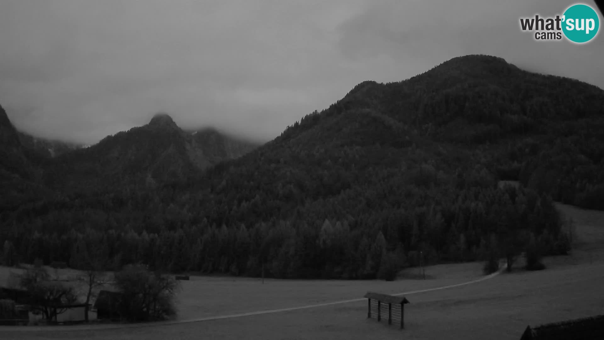 Gozd Martuljek – planinski lanac Špik