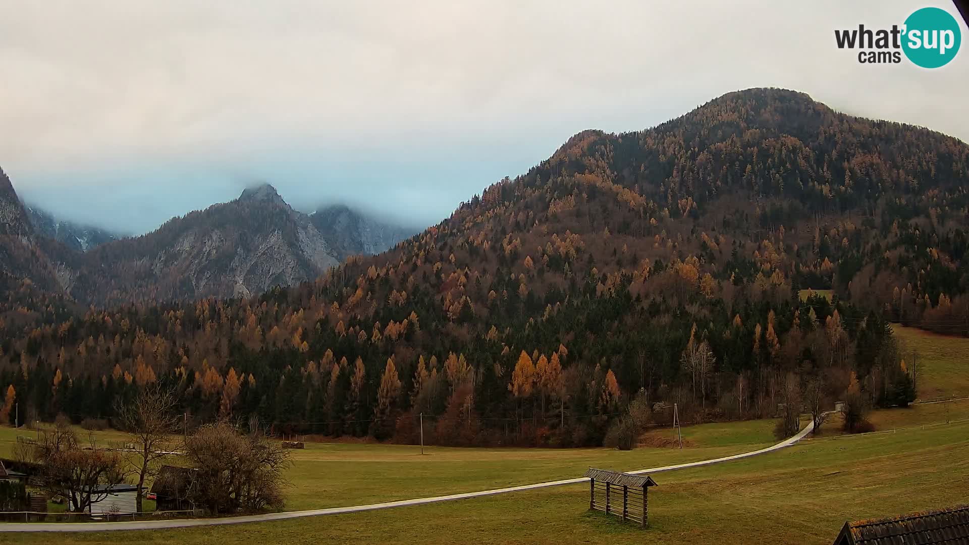 Gozd Martuljek – planinski lanac Špik