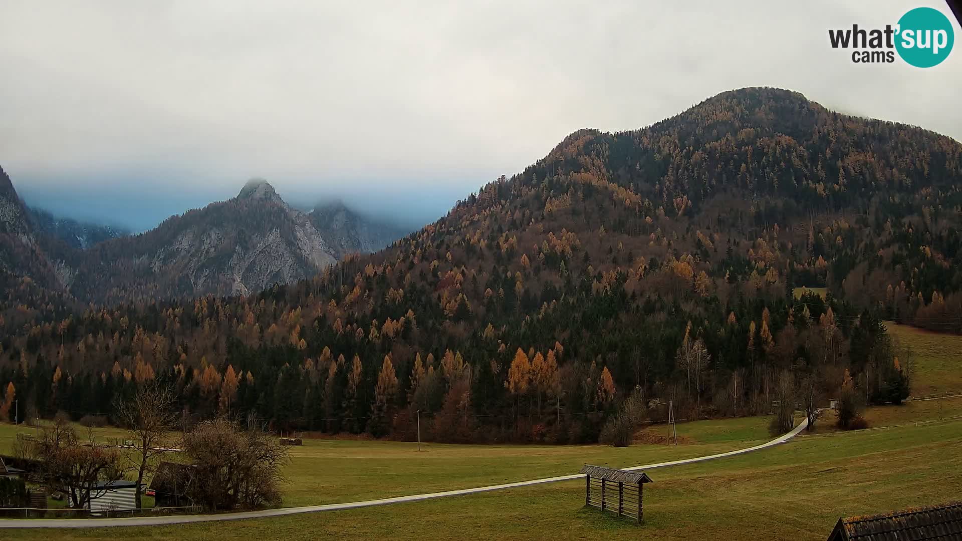 Gozd Martuljek – Špik Mountain Group