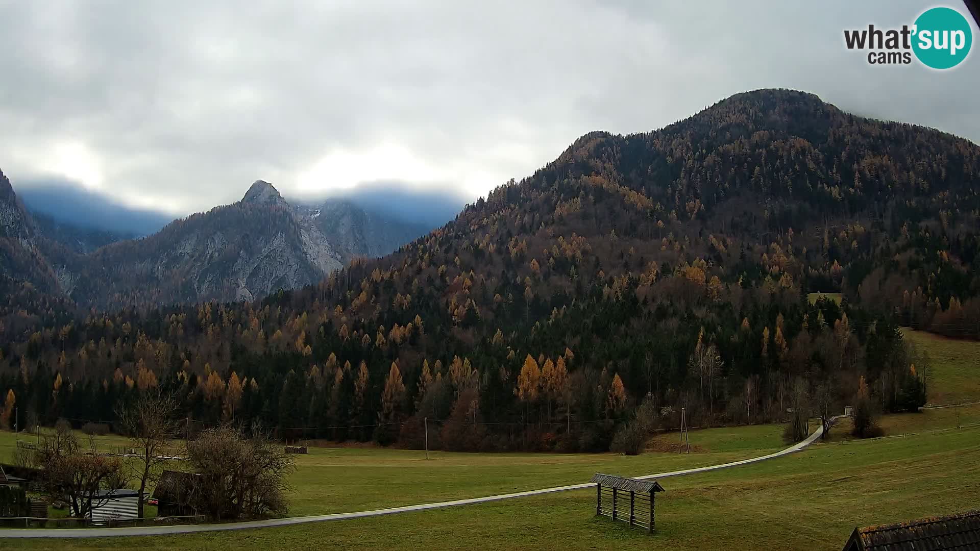 Gozd Martuljek – Špikova skupina