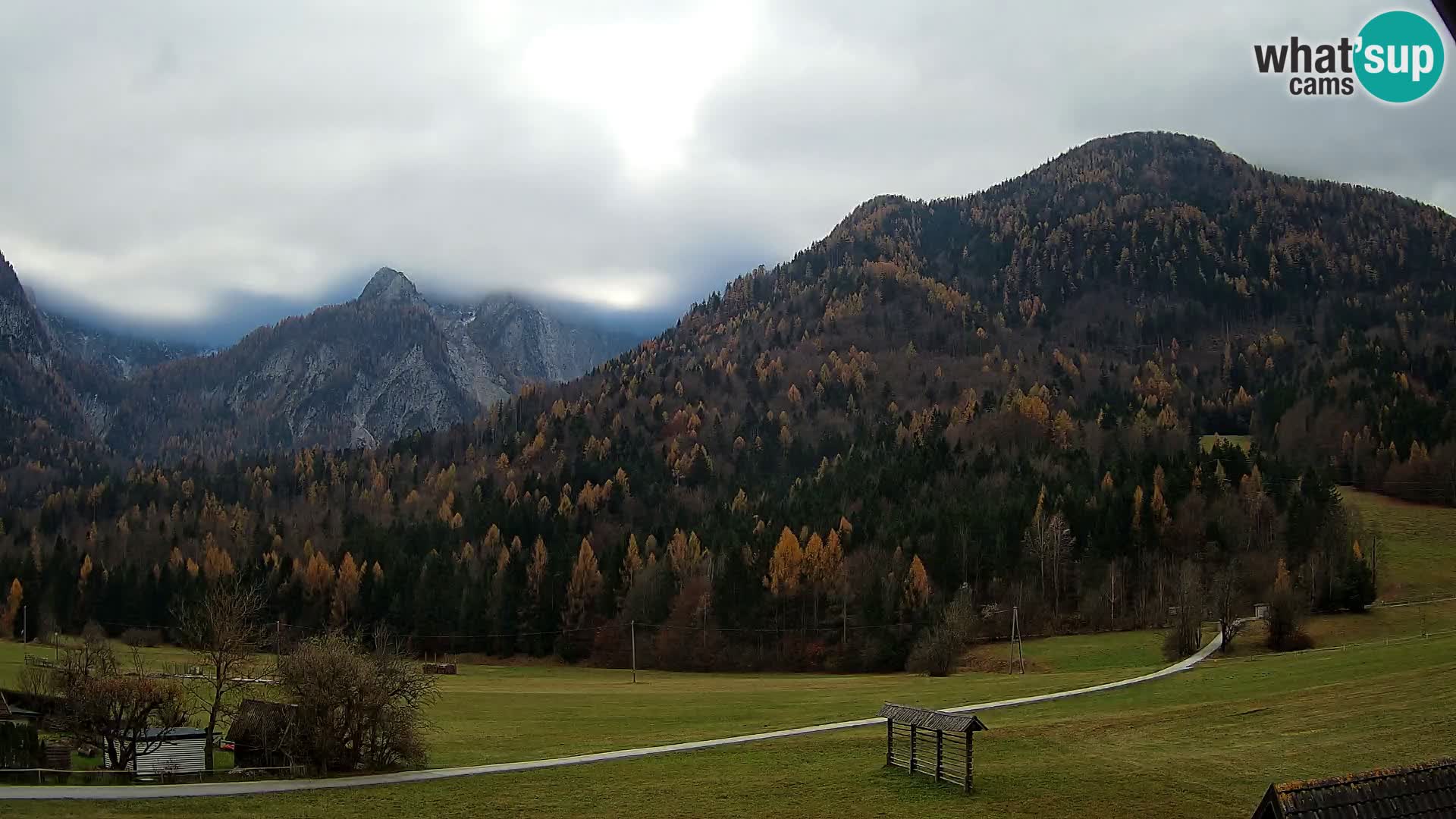 Gozd Martuljek – Špikova skupina