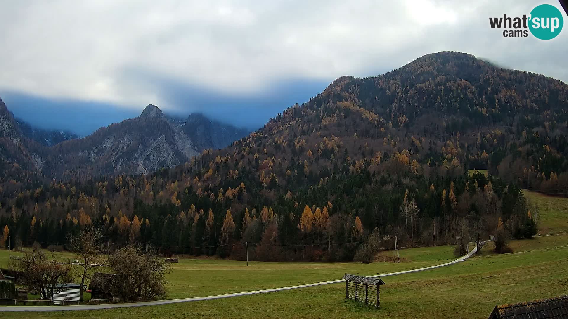 Gozd Martuljek – Špikova skupina