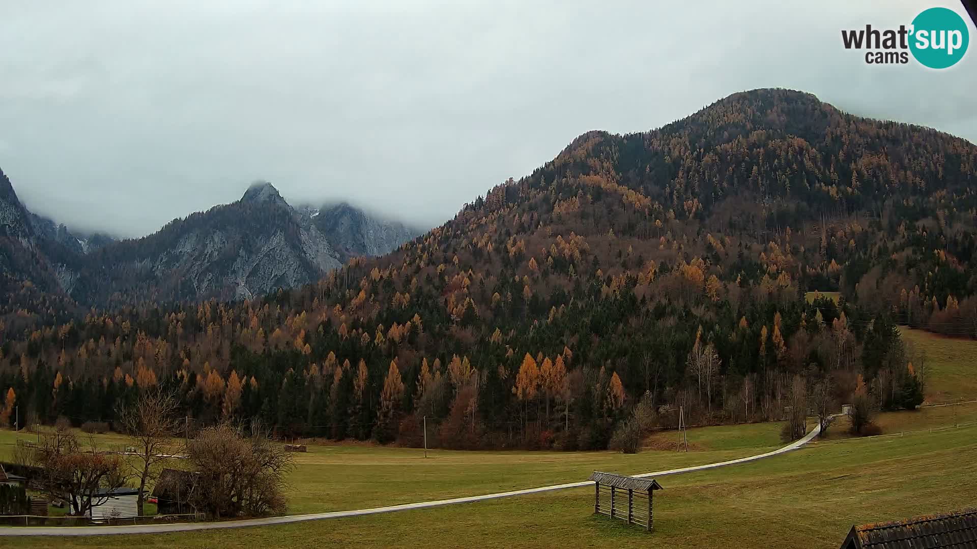 Gozd Martuljek – Špikova skupina
