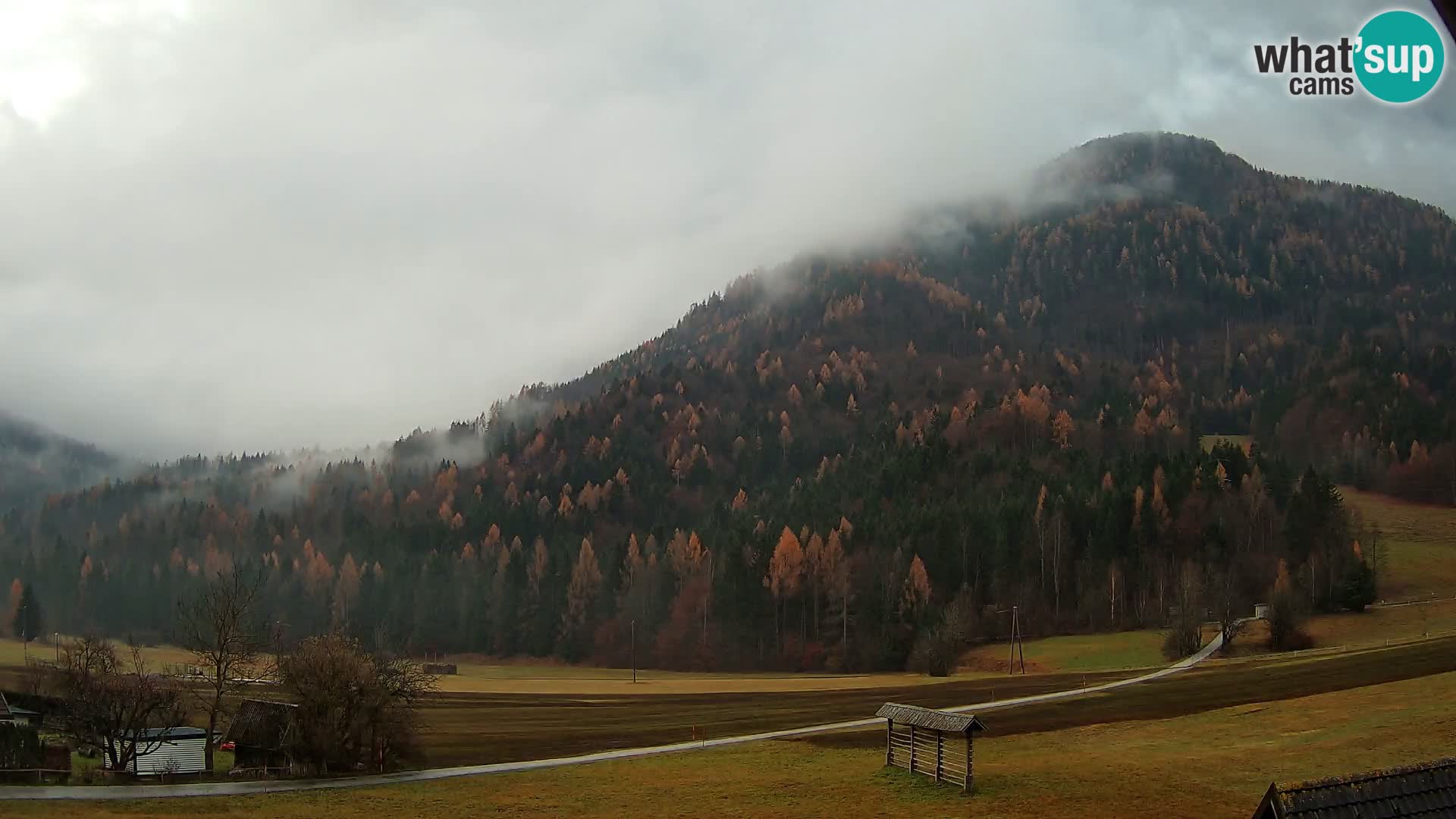 Gozd Martuljek – Špikova skupina