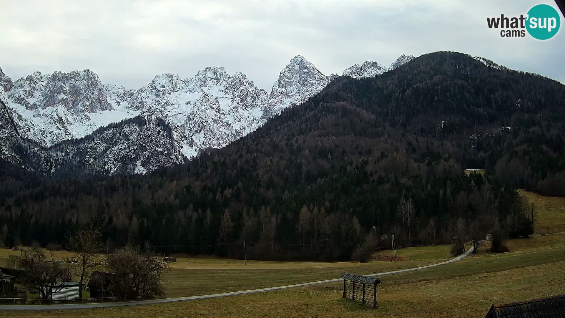 Gozd Martuljek – Špik Mountain Group