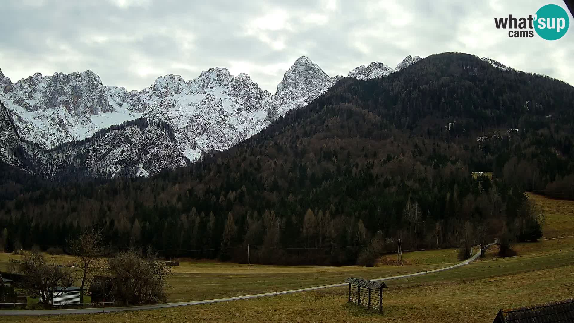 Gozd Martuljek – Špik Mountain Group