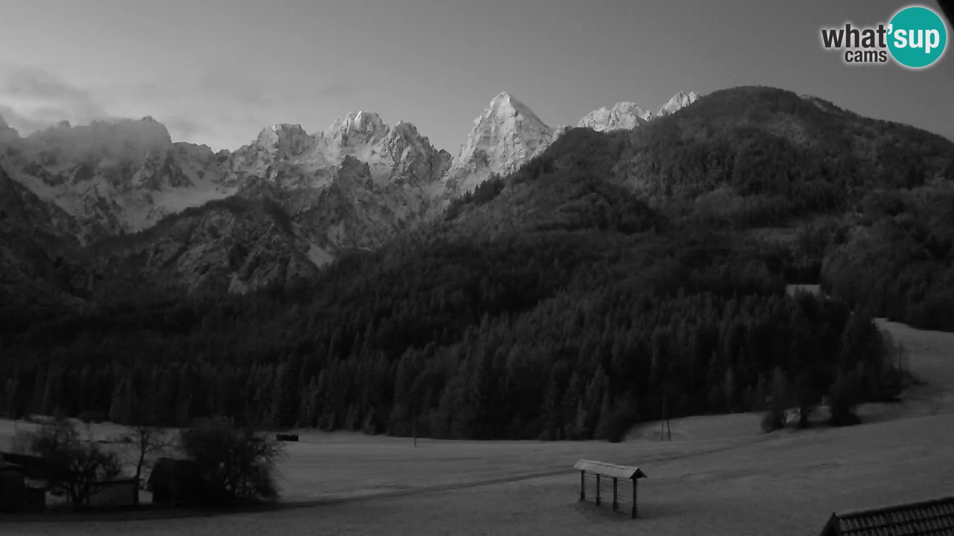 Gozd Martuljek – Špikova skupina