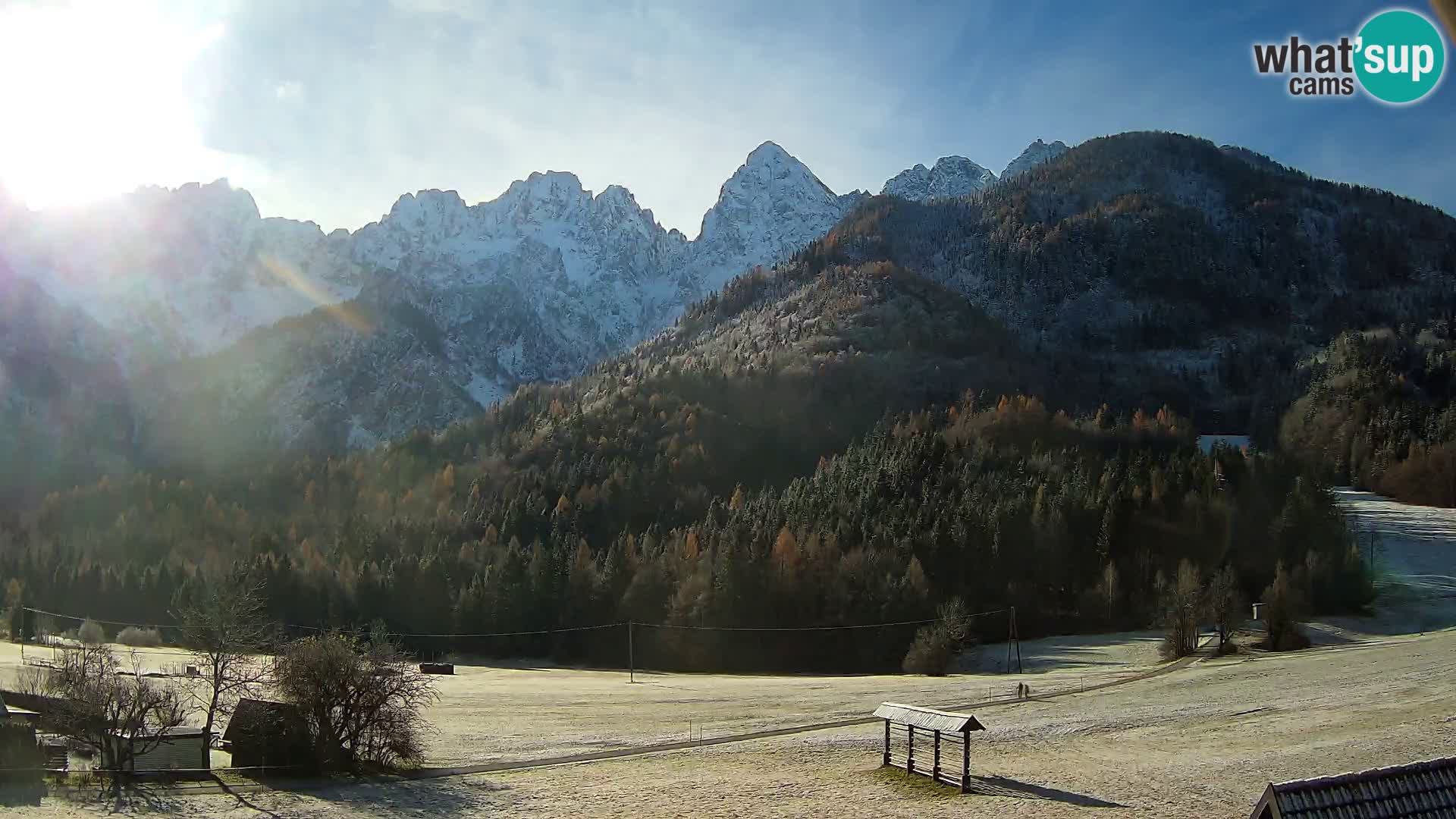 Gozd Martuljek – Špikova skupina