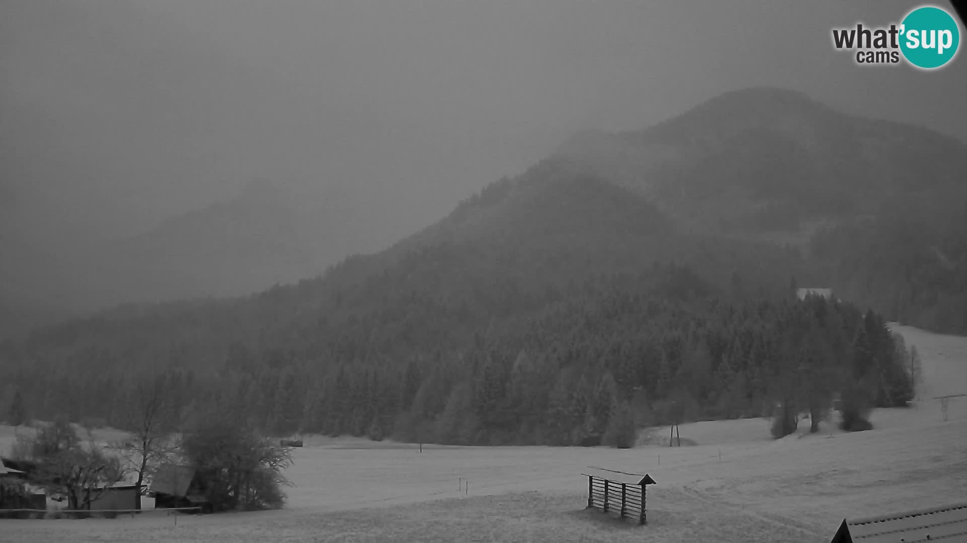 Gozd Martuljek – Špik Mountain Group