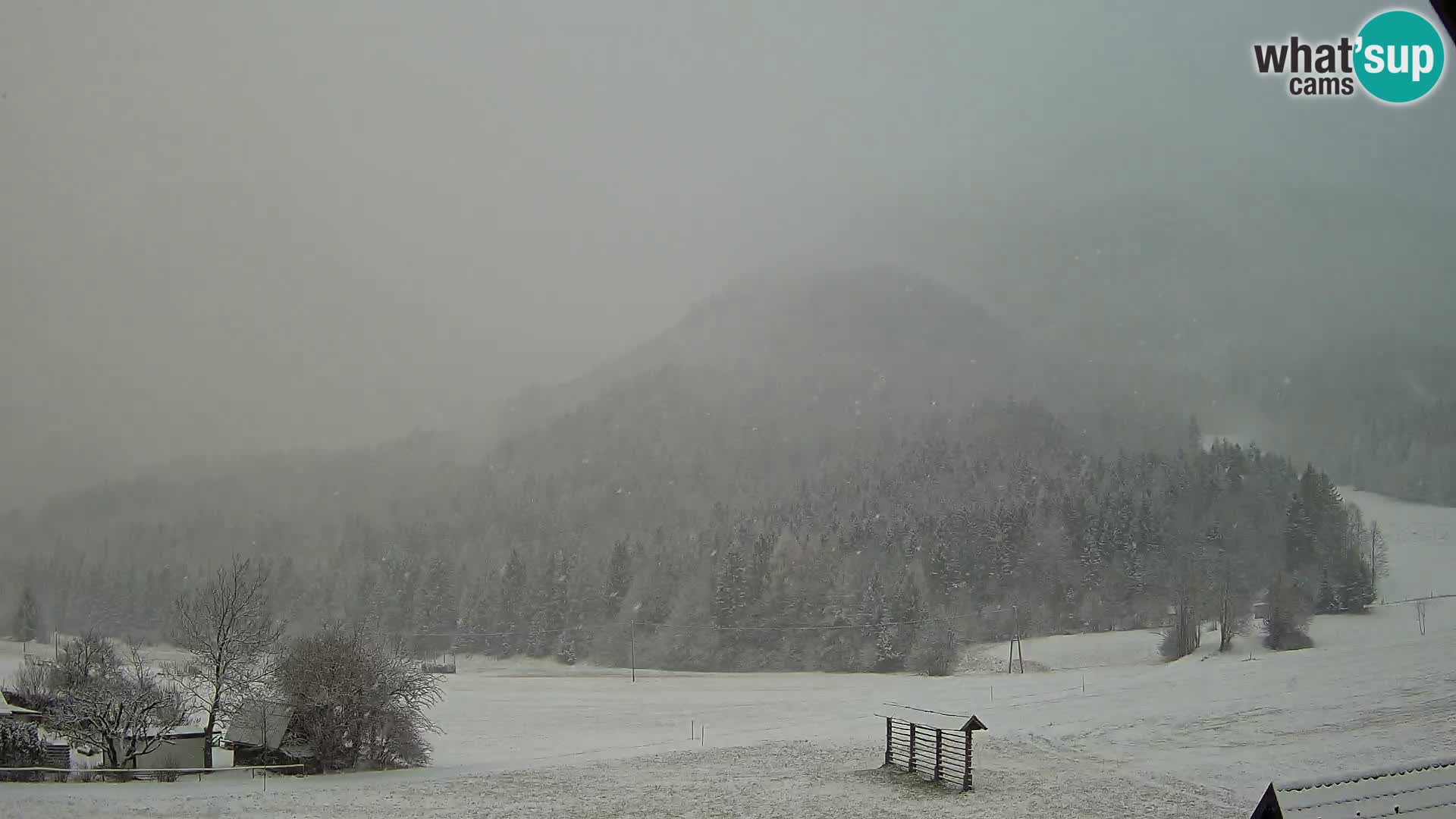 Gozd Martuljek – Špik Mountain Group