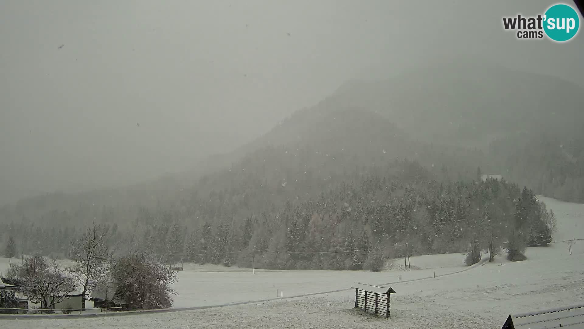 Gozd Martuljek – Špikova skupina