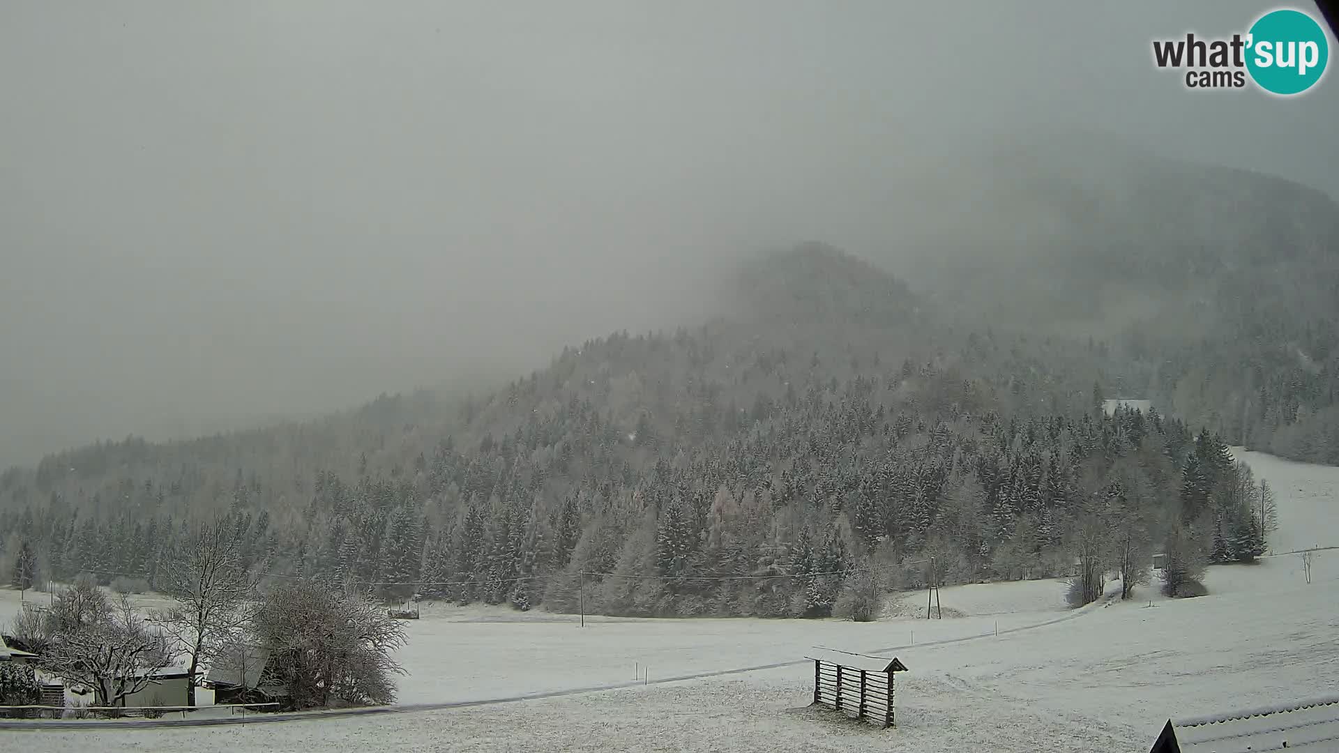 Gozd Martuljek –  planinski lanac Špik