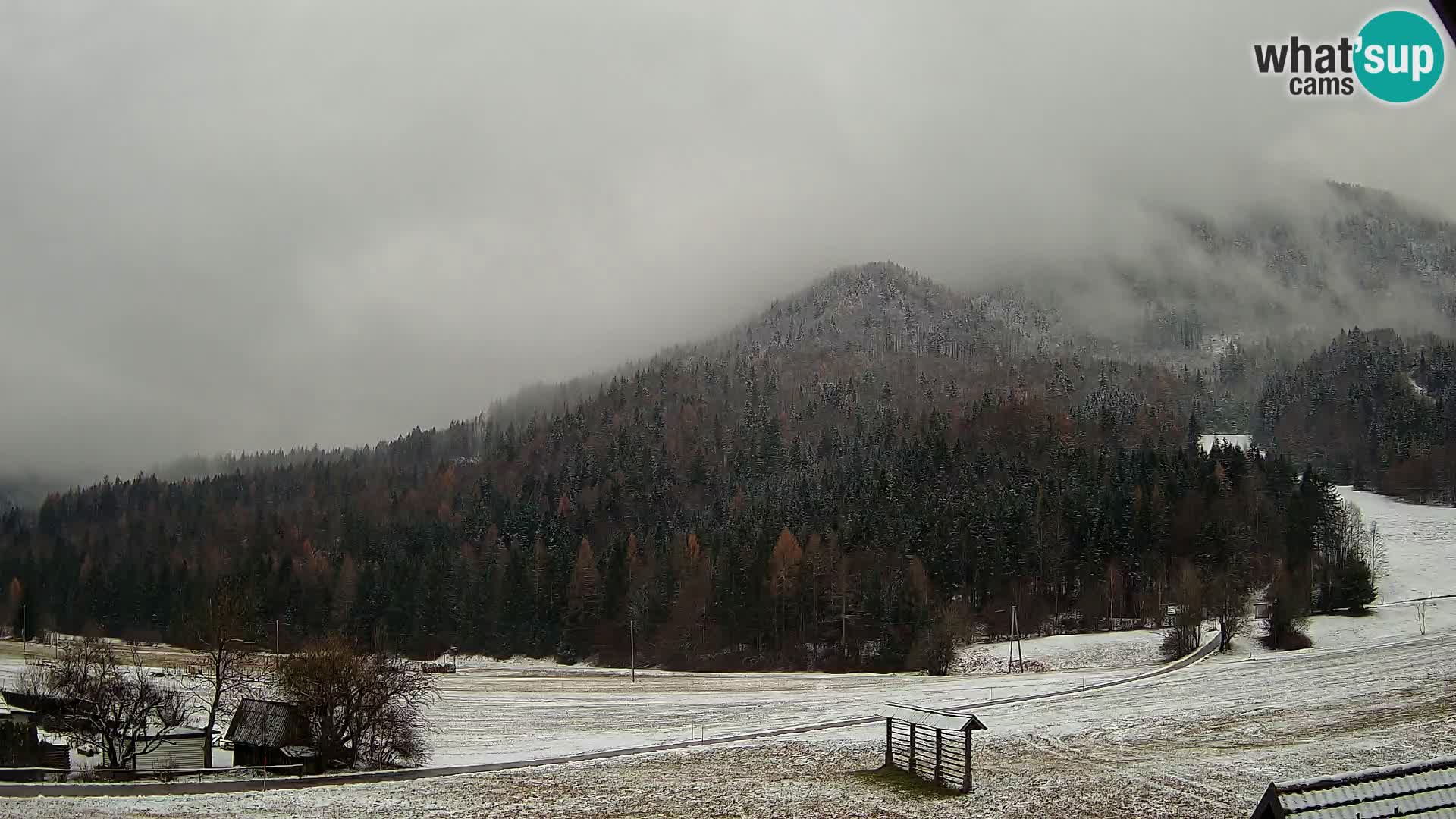 Gozd Martuljek – Špikova skupina