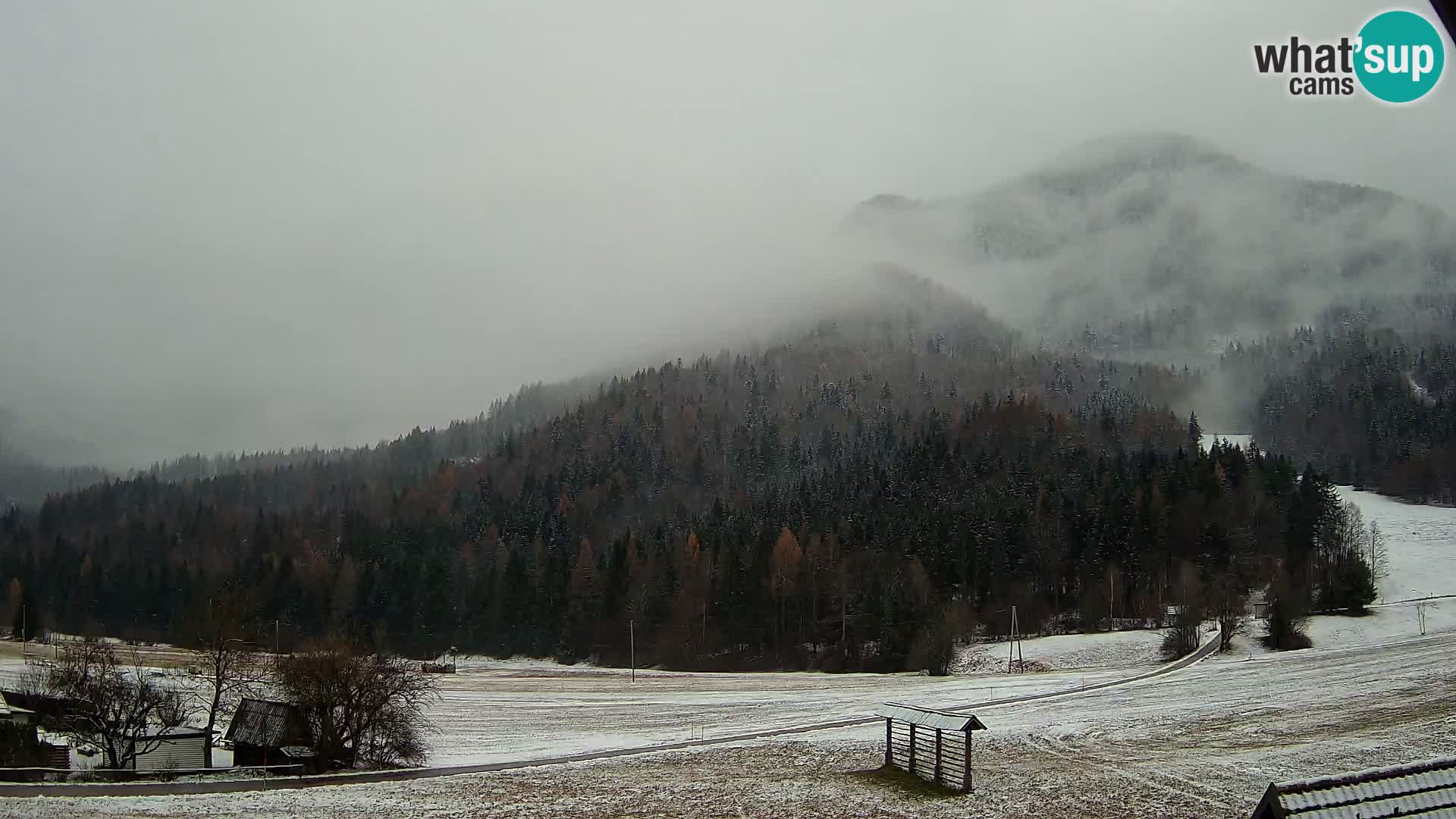 Gozd Martuljek – Špikova skupina