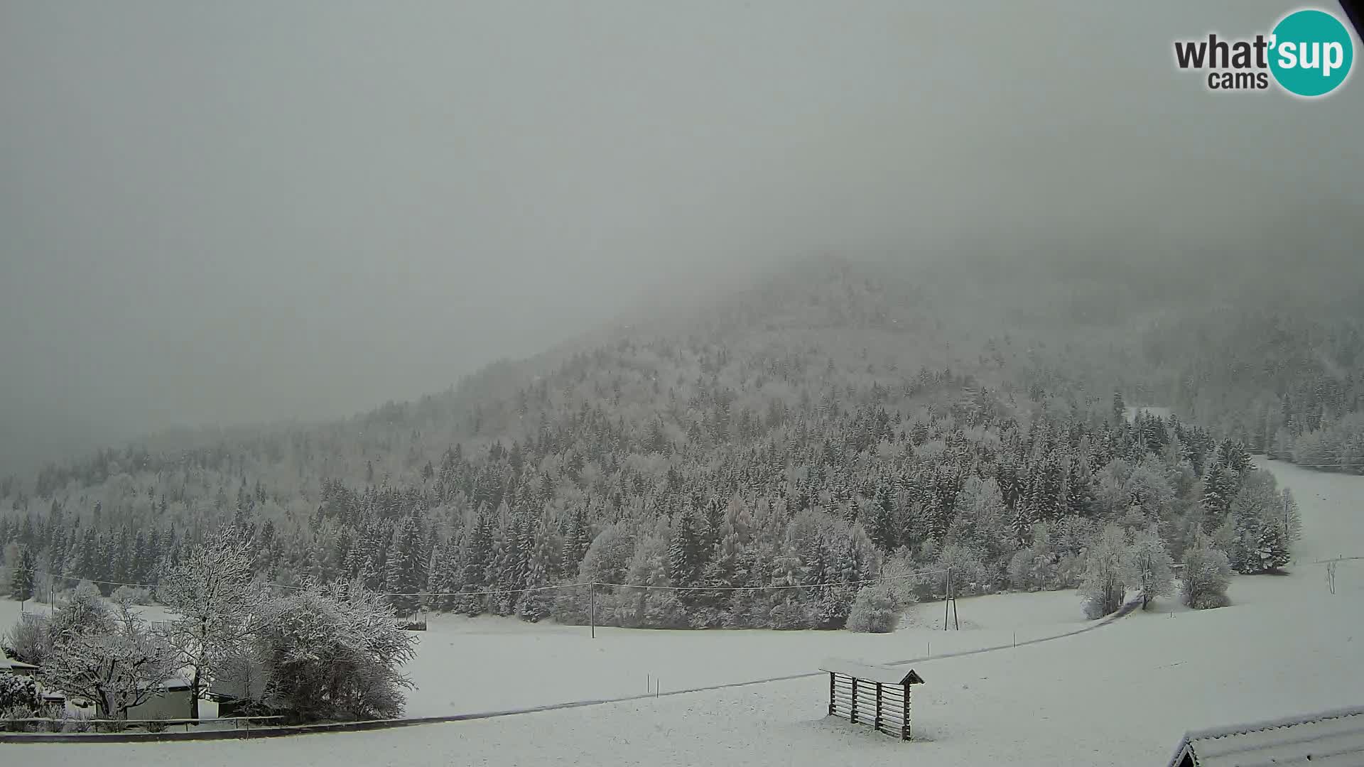 Gozd Martuljek – Špikova skupina