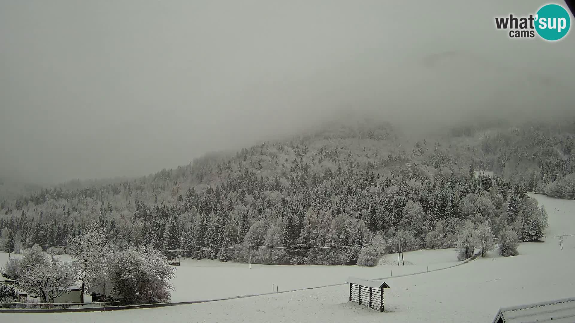 Gozd Martuljek – el grupo Špik