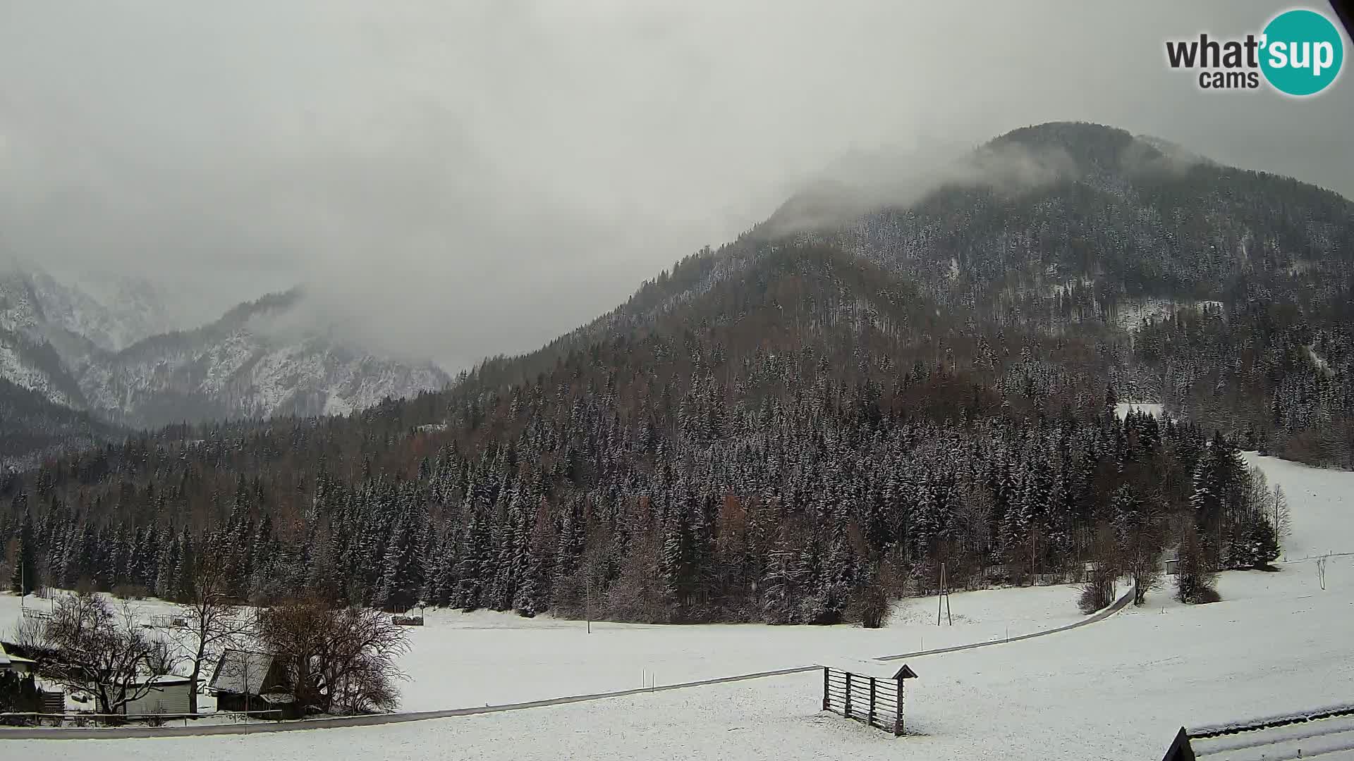 Gozd Martuljek – Špikova skupina