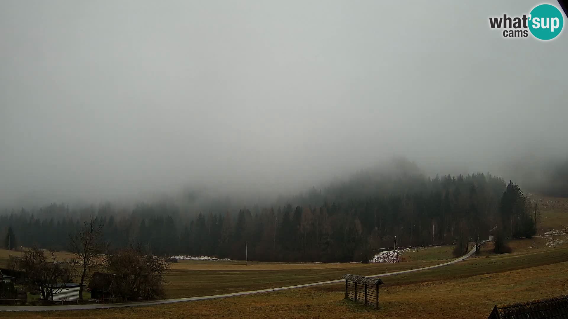 Gozd Martuljek – Špikova skupina