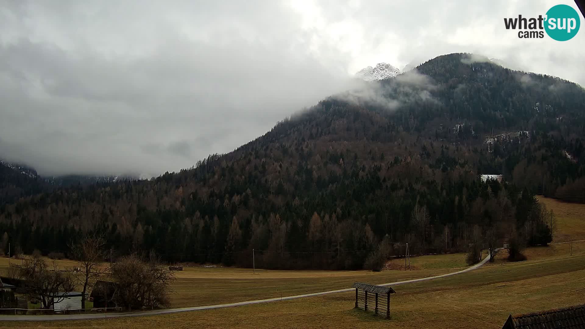 Gozd Martuljek – Špik Mountain Group